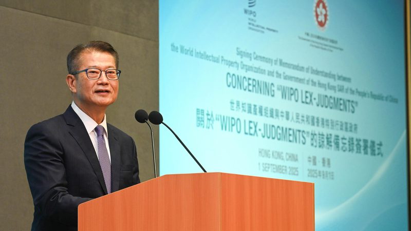 小型微利企业亏损弥补，汇算清缴中的关键步骤解析**